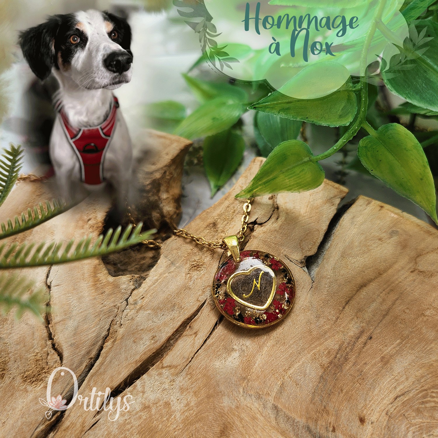 Collier AMULETTE personnalisable poils de votre animal – Image 231