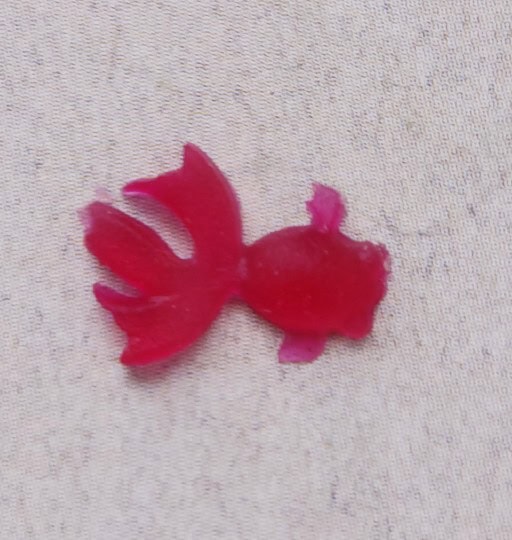 Avec carpe rose