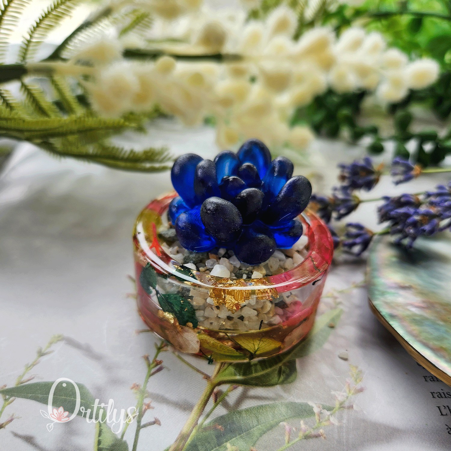 Petite plante KAKTUS personnalisable – Image 21